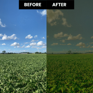 Summer Film Stock Lightroom Preset 5